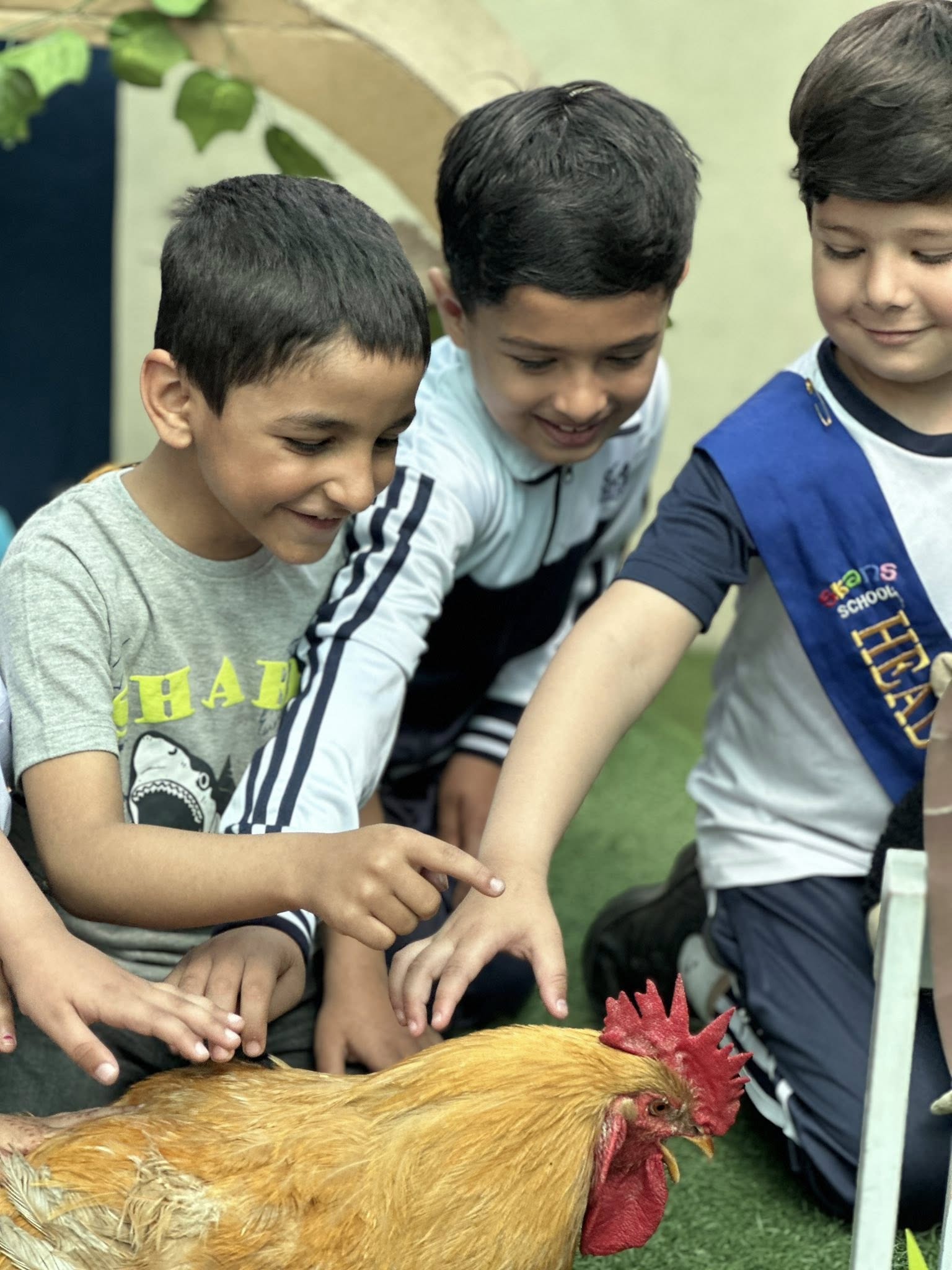 Welcome to our Pet Day Mini Zoo!
